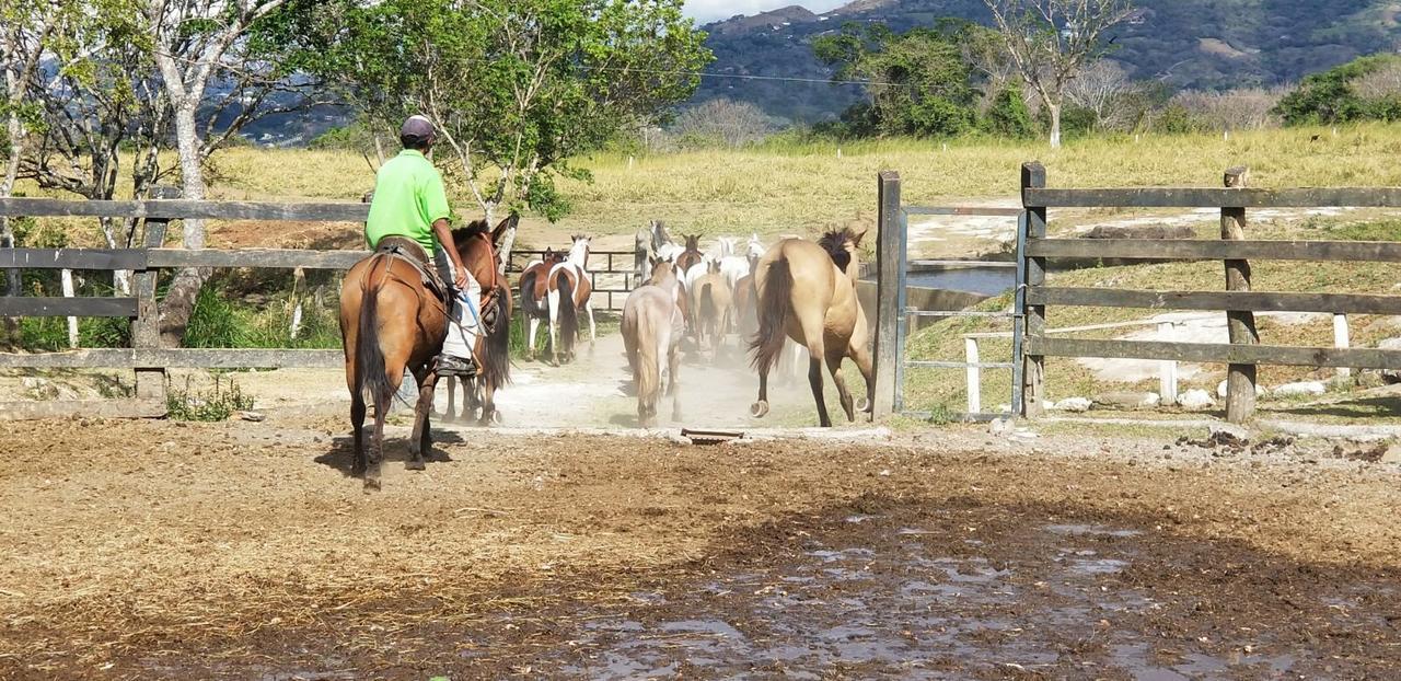 Hotel Hacienda El Rodeo Vueltas 외부 사진