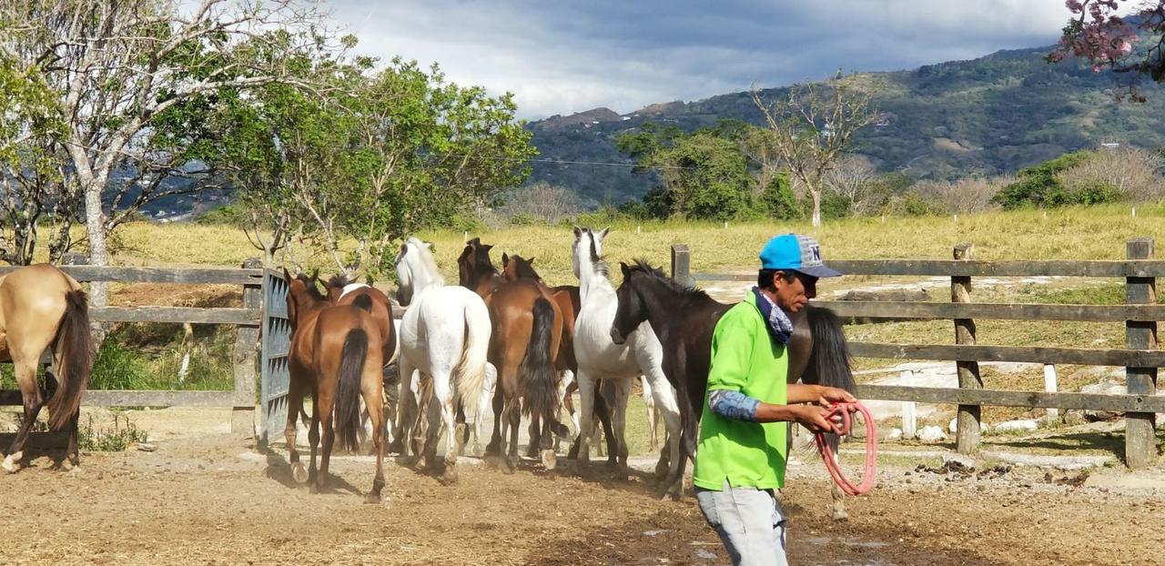 Hotel Hacienda El Rodeo Vueltas 외부 사진
