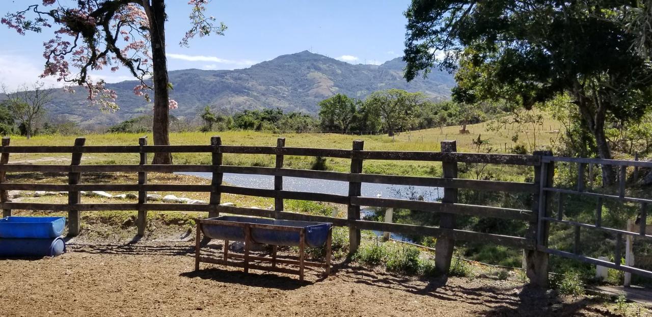 Hotel Hacienda El Rodeo Vueltas 외부 사진